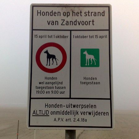 Appartement in Zandvoort Buitenkant foto